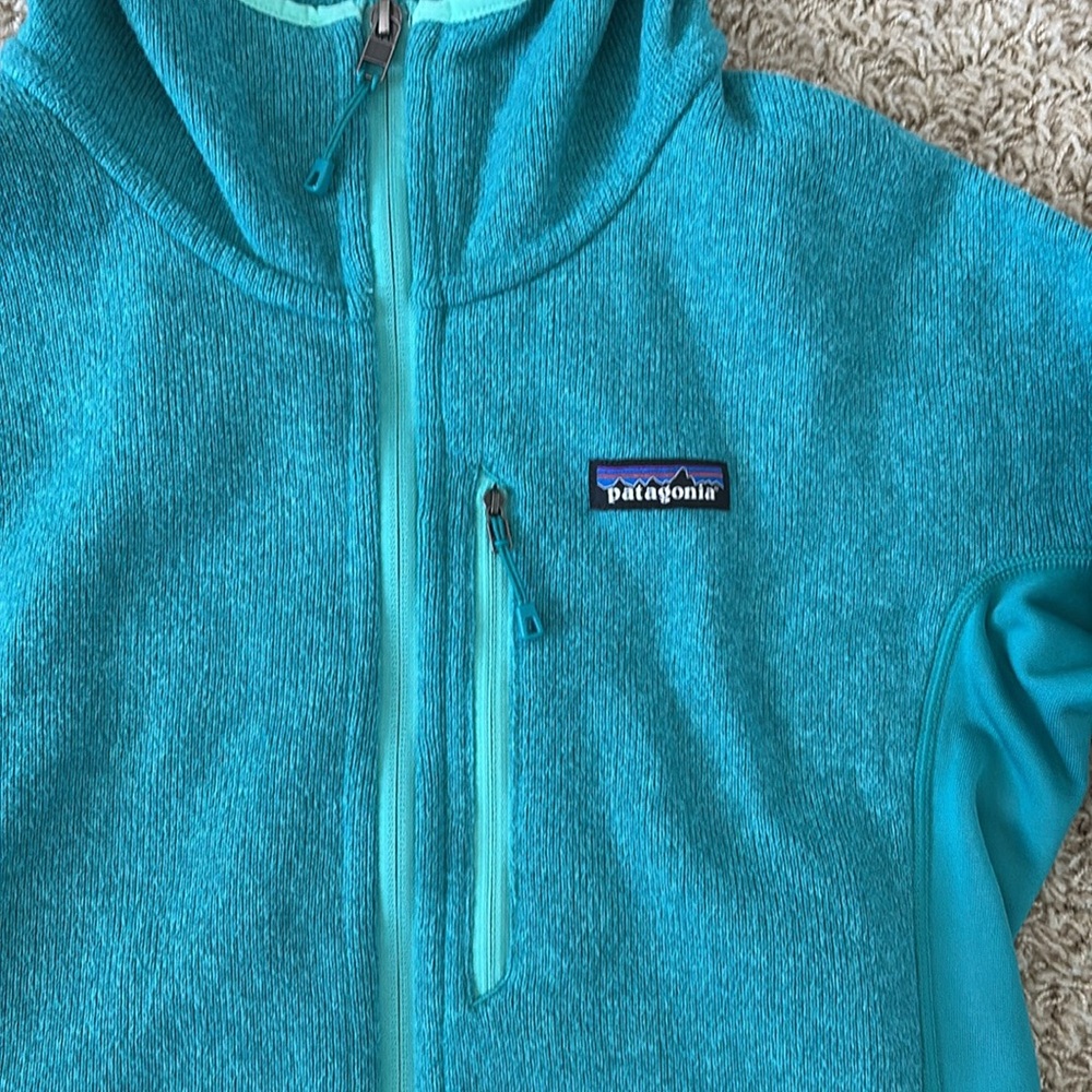 Patagonia | Fleece Zip up Hoodie - Picture 2 of 14